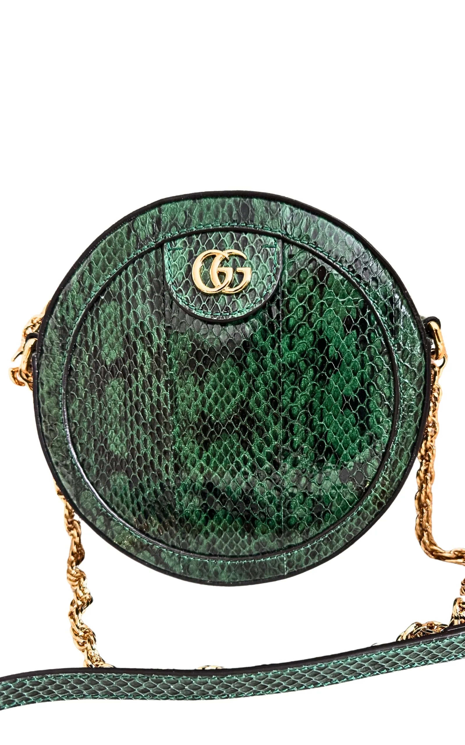 GG Marmont Exotic Leather Bag