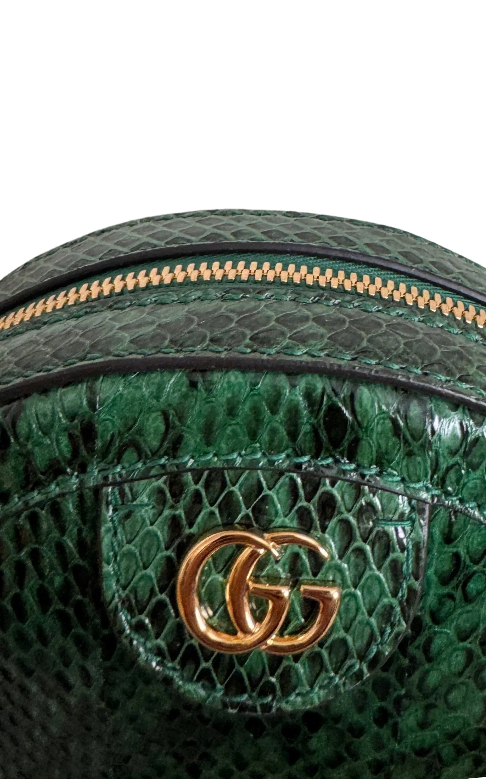 GG Marmont Exotic Leather Bag