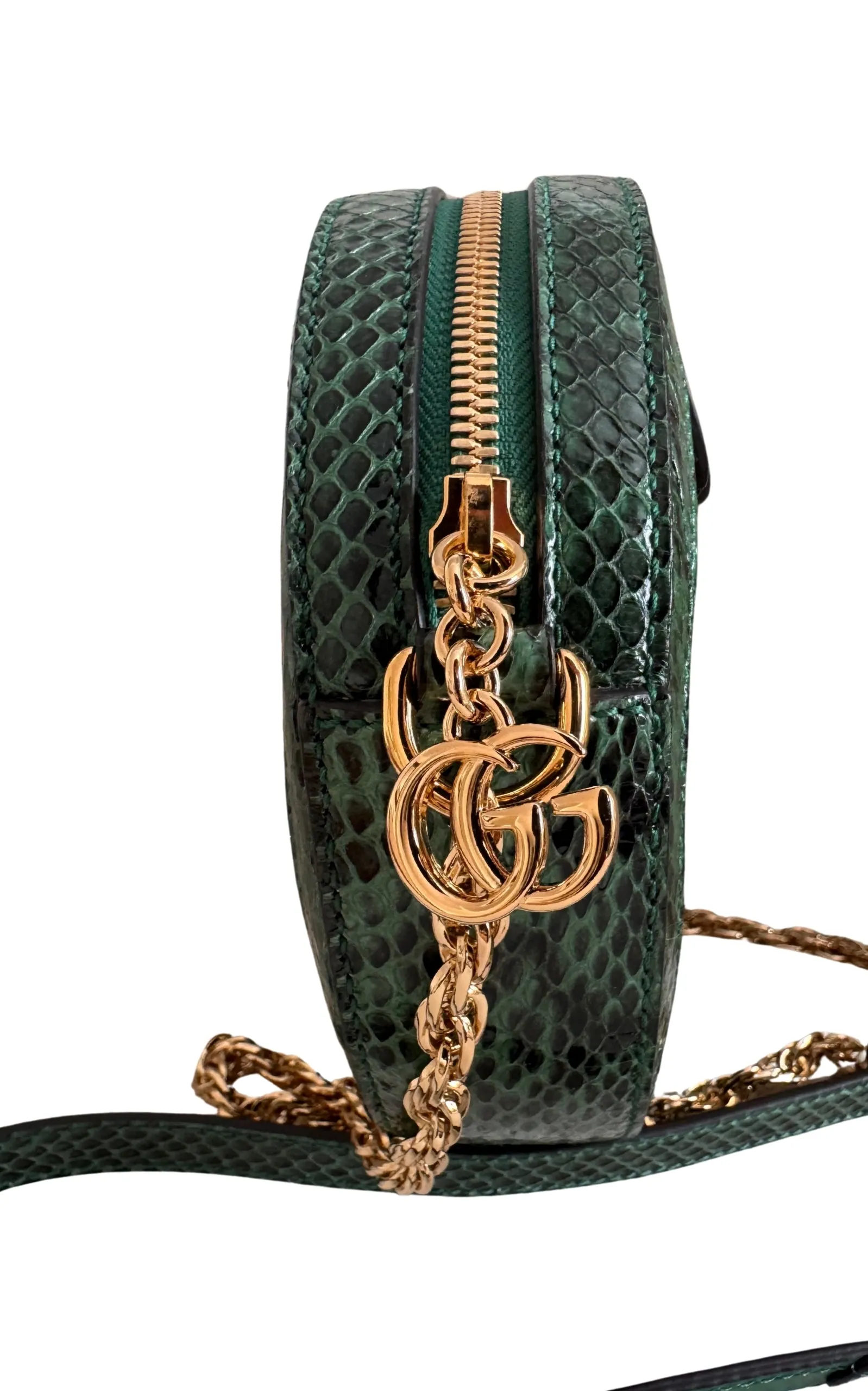 GG Marmont Exotic Leather Bag