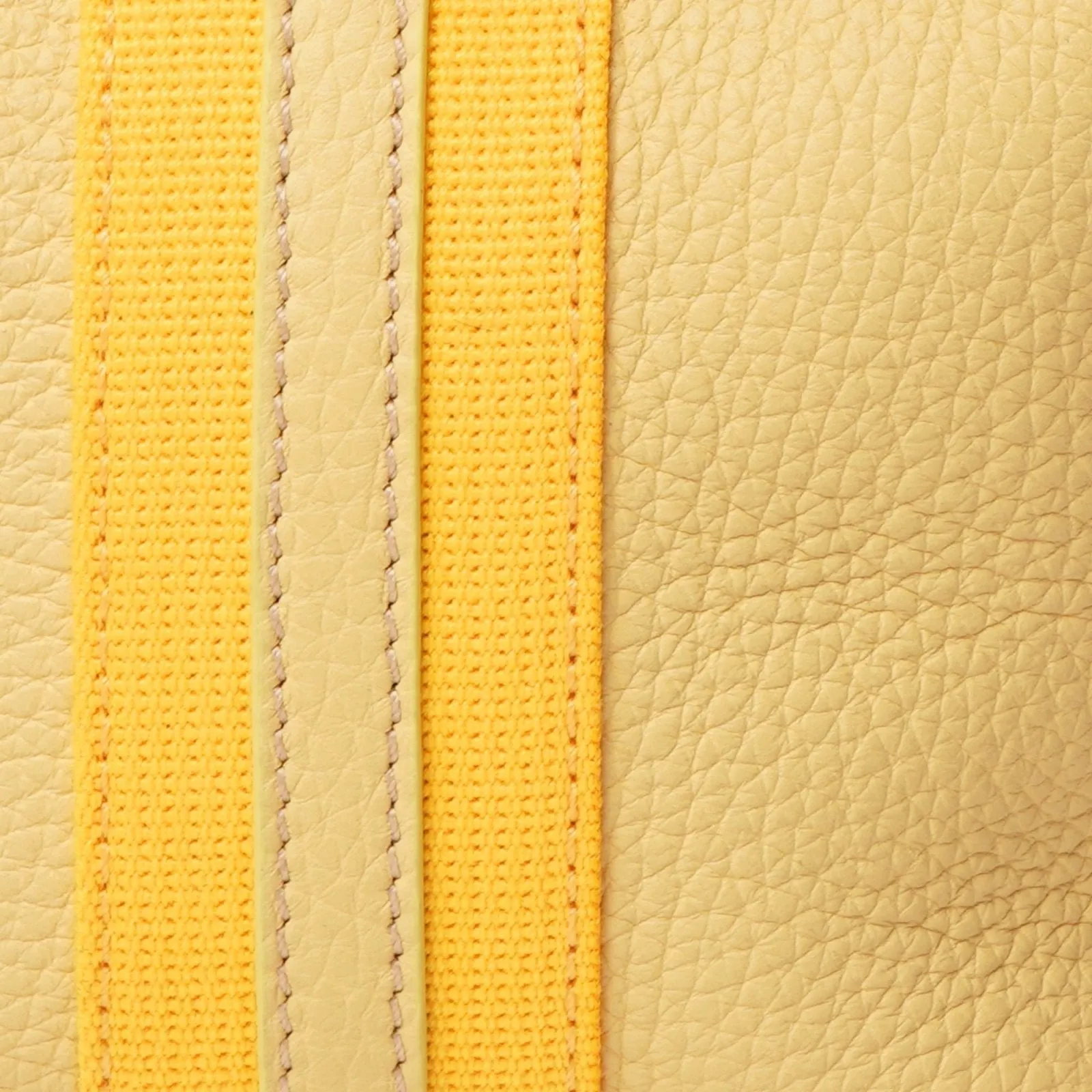 Sunbeam Bag